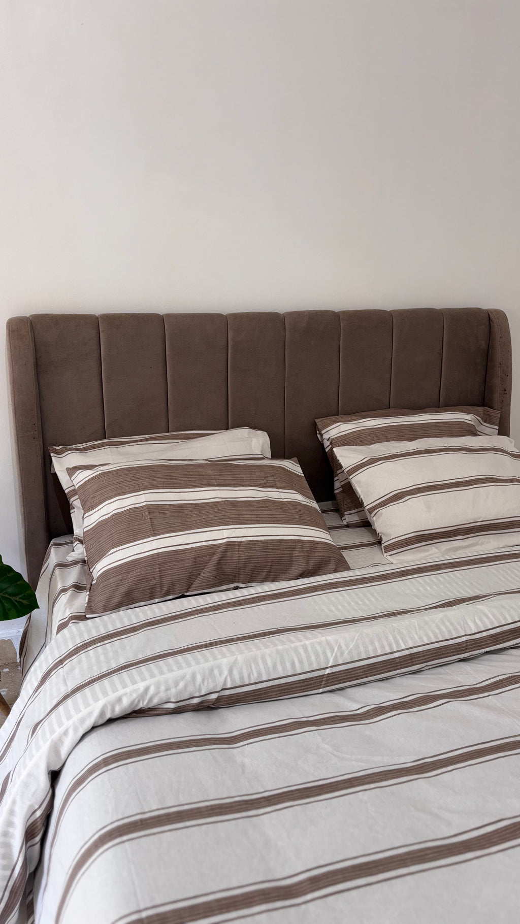 mocha sheet set