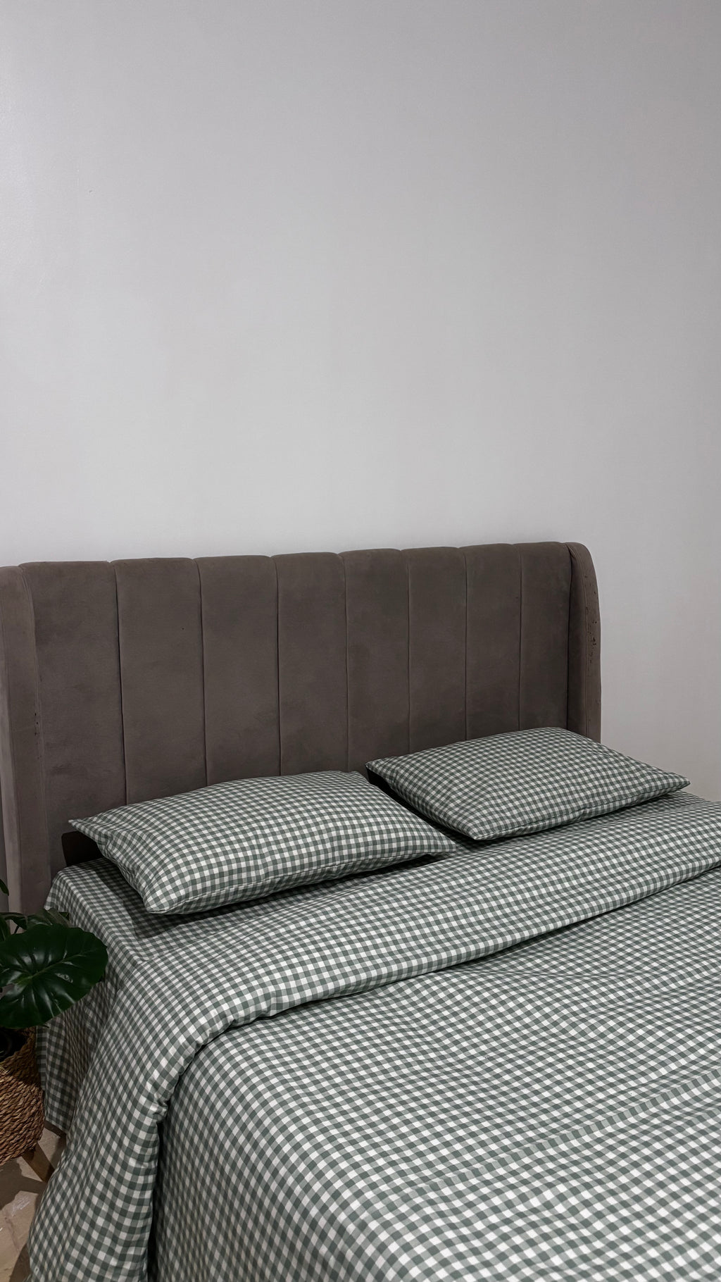 pisatchio checkered sheet set