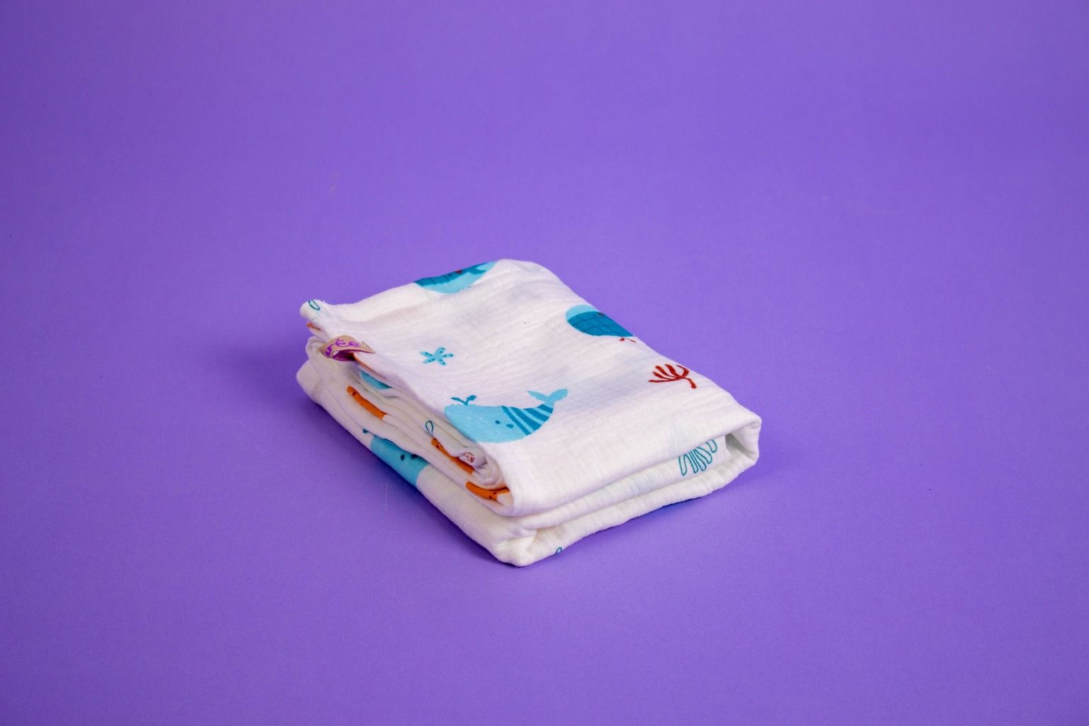 little dolphin blanket